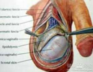 男人睾丸炎有哪些危害呢