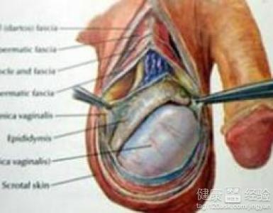 男人睾丸炎有哪些危害呢